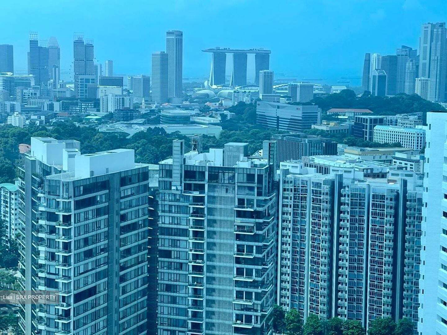The Ritz-Carlton  (D9), Condominium #591248761